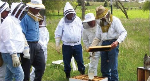 Students at the Bee School can suit up and watch while a hive of live bees is opened and inspected. The school will be held March 23 in Brenham.            Contributed photo.