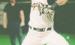 McGinnis and Reaux to Continue Baseball Careers at College Level
