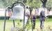 Attendees at the Memorial Day ceremony gathered at the southeast corner of the Falls County Courthouse grounds for the ringing of the historic bell. Photo by Mark Pelzel