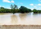 Report Storm Damage to TDEM