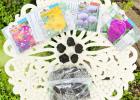 Seed Bombs for An Explosion of Color, Life and Hope!