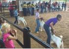 The 2025 Falls County Youth Fair showcased the impressive talents and hard work of local 4H members Photos contributed by Mark Pelzel