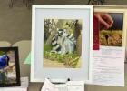 Youth Shine at 2025 Falls County Youth Fair