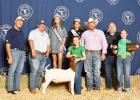 Grand Champion Goat Berkley Gilmore, Westphalia 4-H Club Buyers: Apple Sport Chevy, Milam Co. Livestock, First National Bank of Bastrop - Falls Co. Branch Grand Champion Goat Berkley Gilmore, Westphalia 4-H Club Buyers: Apple Sport Chevy, Milam Co. Livestock, First National Bank of Bastrop - Falls Co. Branch
