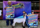 Scenes from the Falls County Youth Fair Goat & Lamb Show