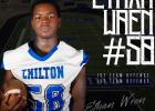 Pirates Players Named to District 10-