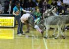 Players enjoy the annual Donkey Basketball game at Rosebud-Lott I.S.D.