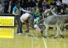 Players enjoy the annual Donkey Basketball game at Rosebud-Lott I.S.D.