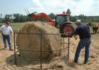 The online program Aug. 18 will address hay and pasture insect pest identification and treatment. (Texas A&M AgriLife Extension Service photo)