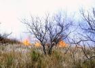 Fire burns through rangeland. (Texas A&M AgriLife photo by Kay Ledbetter)